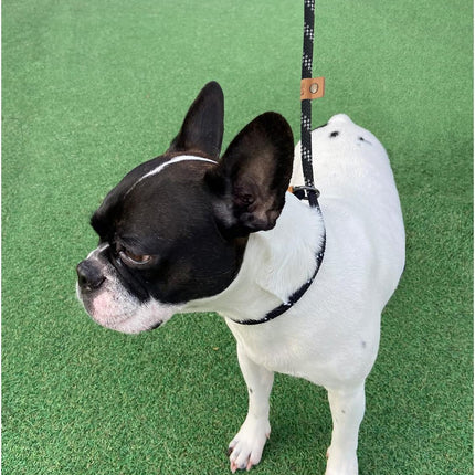 5 FT Slip Lead Dog Leash, Heavy Duty Rope Leash for Small Medium Large Dogs, No Pull Training Lead with Reflective Thread, Strong Comfortable Loop Leash (Black Stripe, Medium(3/8")).