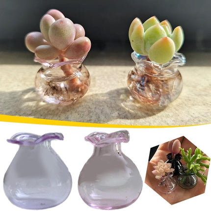 Tiny Vase for Cat Whisker, Cat Whisker Jar Holder, Miniature Flower Vase, Cat Whisker Storage Collection, Miniature Glass Vase Ornaments, Cat Memorial Gifts for Cat Lovers.