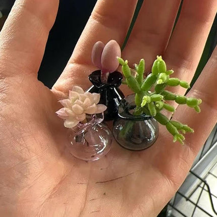 Tiny Vase for Cat Whisker, Cat Whisker Jar Holder, Miniature Flower Vase, Cat Whisker Storage Collection, Miniature Glass Vase Ornaments, Cat Memorial Gifts for Cat Lovers.