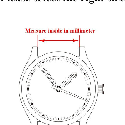 Quick Release Watch Strap,16mm 18mm 20mm 22mm 24mm Premium Solid Stainless Steel Watch Band Replacement.