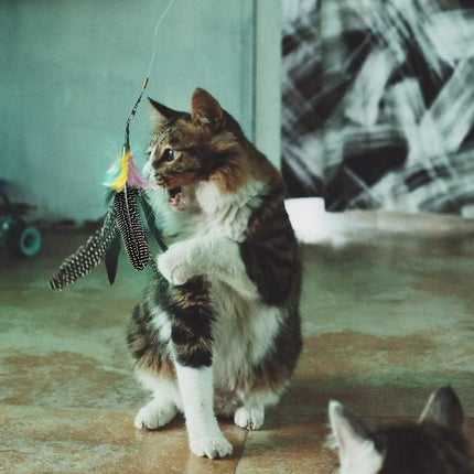 Feather Cat Toy Refill: Fits Da Bird-Handmade Natural Guinea Feather- by.