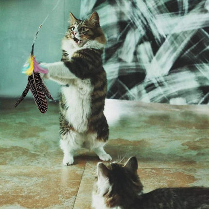 Feather Cat Toy Refill: Fits Da Bird-Handmade Natural Guinea Feather- by.