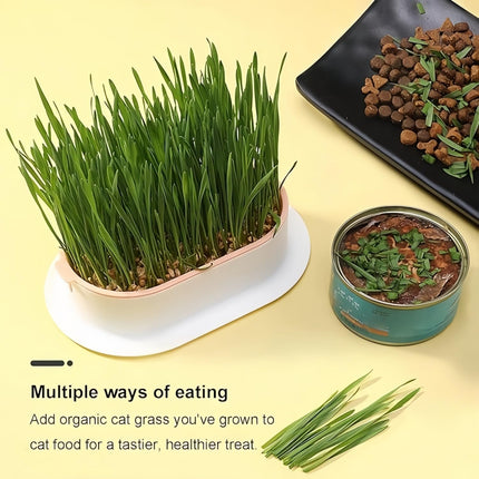 Cat Grass Planter Hydroponic Cat Grass (No Seeds Included) Catnip Wheatgrass Seed Sprout Tray Nursery Plant Plng Box for IndoorSoill.