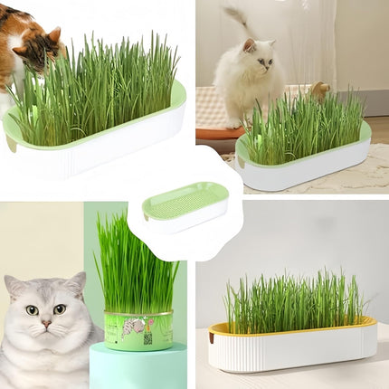 Cat Grass Planter Hydroponic Cat Grass (No Seeds Included) Catnip Wheatgrass Seed Sprout Tray Nursery Plant Plng Box for IndoorSoill.