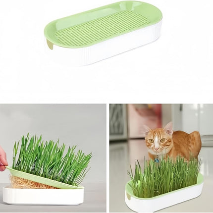 Cat Grass Planter Hydroponic Cat Grass (No Seeds Included) Catnip Wheatgrass Seed Sprout Tray Nursery Plant Plng Box for IndoorSoill.
