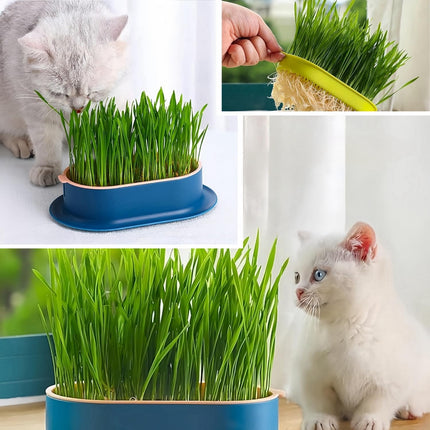 Cat Grass Planter Hydroponic Cat Grass (No Seeds Included) Catnip Wheatgrass Seed Sprout Tray Nursery Plant Plng Box for IndoorSoill.
