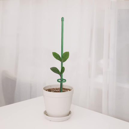 12 Inch Plant Support Stakes, with Adjustable Retaining Ring Green Plant Sticks Support Stakes for Indoor and Outdoor Plants,Flowers,Climbing(10Pcs).