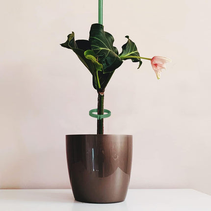 12 Inch Plant Support Stakes, with Adjustable Retaining Ring Green Plant Sticks Support Stakes for Indoor and Outdoor Plants,Flowers,Climbing(10Pcs).