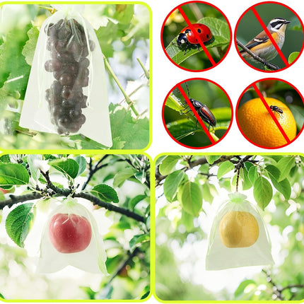 Home & Garden Cartoz.