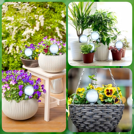 12 Pcs Plant Watering Globes, Automatic Watering Bulbs, Plastic Garden Watering Globes Device, Water Device Drip for Plant, Self-Watering System for Indoor Outdoor Garden (Lake Blue).
