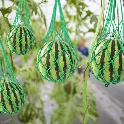 10Pack Melon Hammock Watermelon Nets with 20 Cable Zip Ties, Heavy Duty Watermelon Honeydew Net for Garden Trellis Vertical Garden Growing.