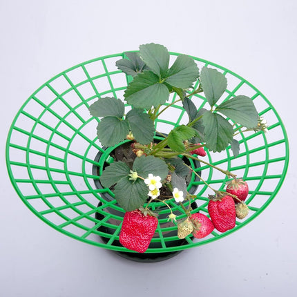 10 Pack Strawberry Plant Supports, Strawberry Plant Stand with 3 Sturdy Legs, Strawberry Growing Racks, Strawberry Growing Frame, Protecting Strawberry Plants from Mold, Rot and Dirt, Green.
