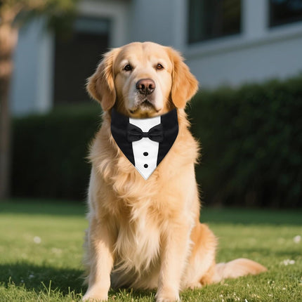 Dog Tuxedo, Formal Dog Wedding Marriage Bandana Bow Tie Collar Adjustable Cat Costume Pet Party Tux for Small, Medium and Large Dogs Engagement Birthday.