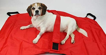 Transport Stretcher for Dogs - Emergency Animal Carrier with Safety Strap - 250 Pound Weight Limit - Pet Stretcher.