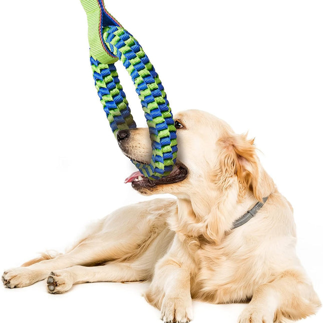Pet Care.
