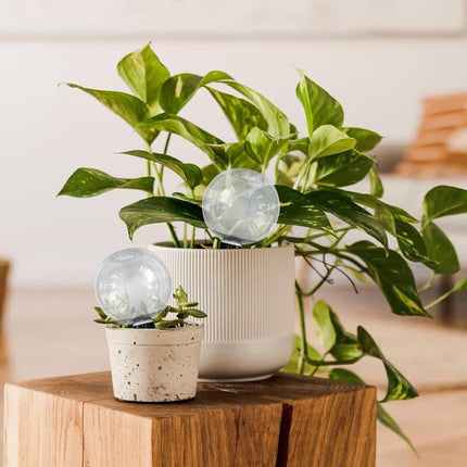 3PCS Plant Watering Globes, 500ml Self Watering Planter Insert, Transparent Plant Irrigation Devices for Indoor Potted Plants.