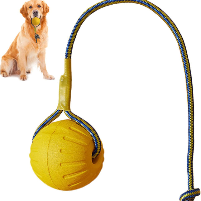 Pet Care.