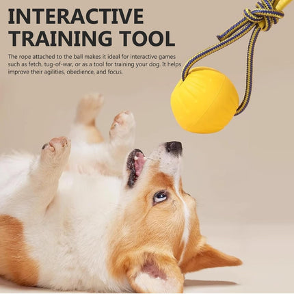 Dog Ball on Rope 3 Inch Rubber Ball on Rope Dog Toy Interactive Training Yellow Color Portable Teething Toys for Reward, Fetch, Play.