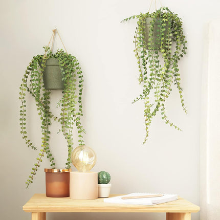 Home & Garden Cartoz.