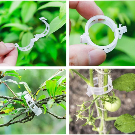 Plastic Plant Clips Essential Garden Tools, Plant Support Clips Tomato Grape Vine Vegetables Plant Fixing Clips,2025 Upgrade Plant Support Garden Clips (Count, 300).