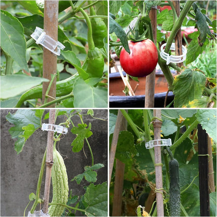 Plastic Plant Clips Essential Garden Tools, Plant Support Clips Tomato Grape Vine Vegetables Plant Fixing Clips,2025 Upgrade Plant Support Garden Clips (Count, 300).