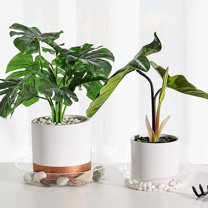 16Pcs Plant Saucer, Heavy Duty Clear Plastic Plant Tray, Durable Round Flower Pot Saucer, Large Plant Dishes Saucer, Planter Water Drip Trays for Indoor Outdoor Garden Potted.