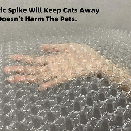 Pet Care Cartoz.