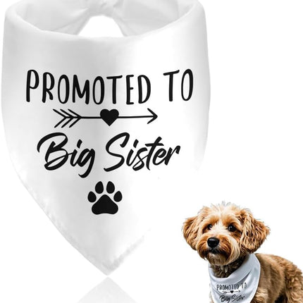 Pet Care Cartoz.