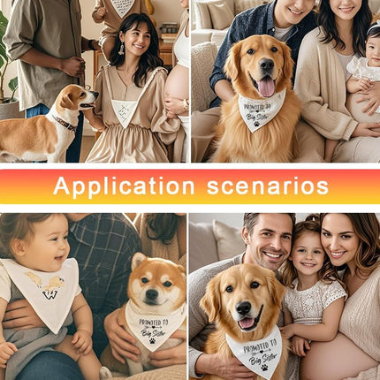Pet Care Cartoz.