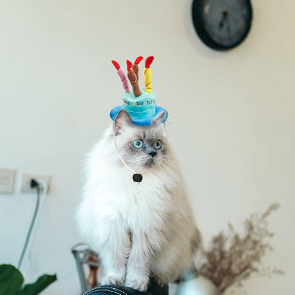 Dog Birthday Hat, Soft Plush Pet Birthday Cake Hat with 5 Colored Candles Cute Cat Birthday Party Hat for Pet Birthday Party (Blue).