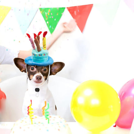 Dog Birthday Hat, Soft Plush Pet Birthday Cake Hat with 5 Colored Candles Cute Cat Birthday Party Hat for Pet Birthday Party (Blue).