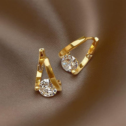 Flysmus Halolux Lymphatic Magnetic Earrings (2pairs-B).