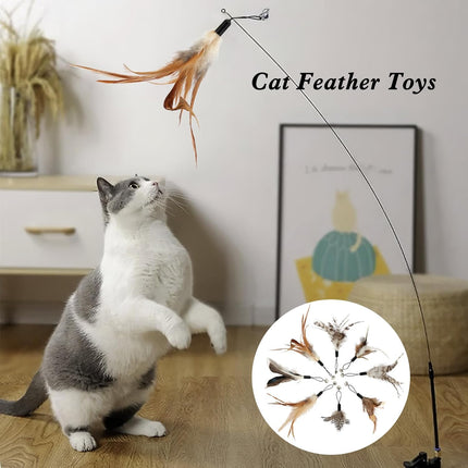 8 Pcs Cat Feather Toys with Bells, Feather Teaser Cat Toy, Replacement Feather Refills with Bells, Exerciser Playing Toy for Kitten or cat.