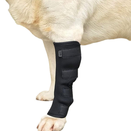 Pet Care.