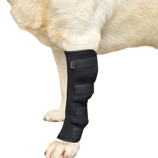 Pet Care.
