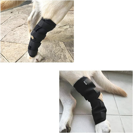 Pet Care.