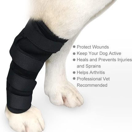 Pet Care.