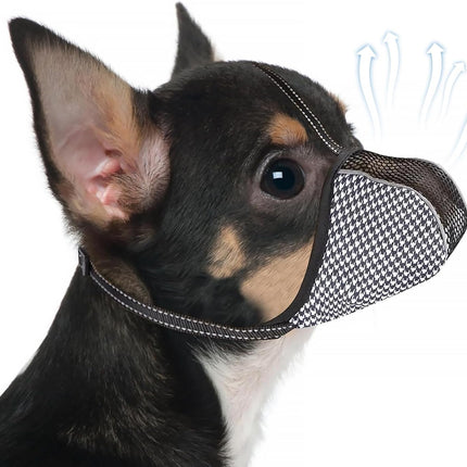 Pet Care Cartoz.
