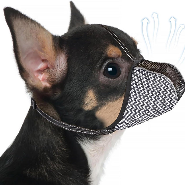 Pet Care.