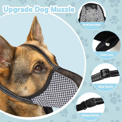 Pet Care Cartoz.