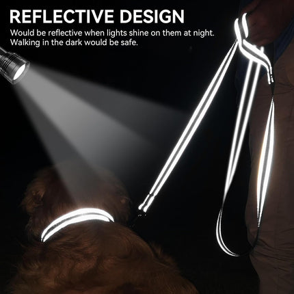 Dog Leash, 6 FT Double-Sided Reflective, Padded Handle Nylon Heavy Duty Leashes for Medium & Large Dogs Walking, Black ft Standard.