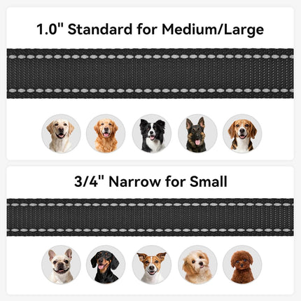 Dog Leash, 6 FT Double-Sided Reflective, Padded Handle Nylon Heavy Duty Leashes for Medium & Large Dogs Walking, Black ft Standard.