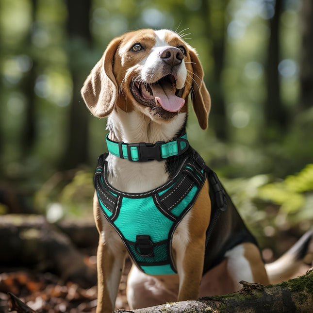 Reflective Dog Collar, Soft Neoprene Padded, Metal D-Ring, Nylon Pet Collar Adjustable for Large Dogs, Teal, L Teal (Pack of 1).