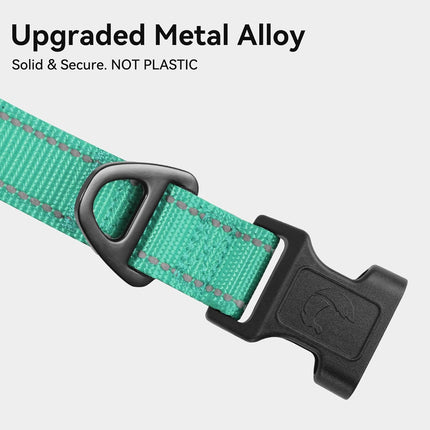 Reflective Dog Collar, Soft Neoprene Padded, Metal D-Ring, Nylon Pet Collar Adjustable for Large Dogs, Teal, L Teal (Pack of 1).