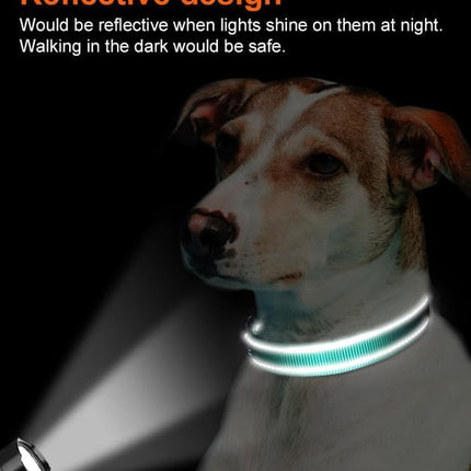 Reflective Dog Collar, Soft Neoprene Padded, Metal D-Ring, Nylon Pet Collar Adjustable for Large Dogs, Teal, L Teal (Pack of 1).