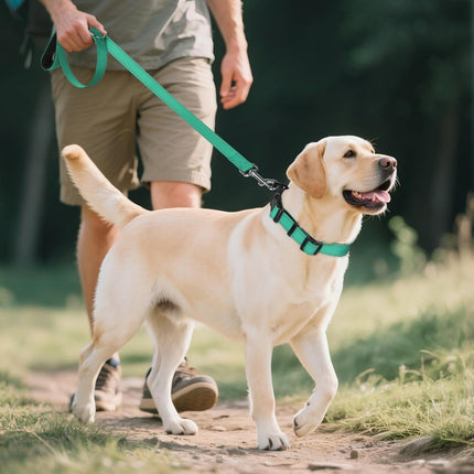 Reflective Dog Collar, Soft Neoprene Padded, Metal D-Ring, Nylon Pet Collar Adjustable for Large Dogs, Teal, L Teal (Pack of 1).