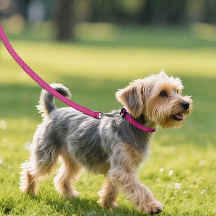 Dog Collars for Small Dogs, Feather-Light Double-Sided Reflective Nylon Collar Night Safety, Adjustable Quick-Release Growing Puppies, Hotpink, S (5/8" Width) Hot Pink S: Width 5/8", Neck 10-16".