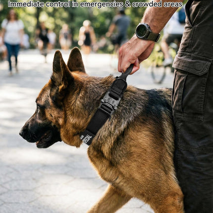 Tactical Dog Collar with Handle and Metal Buckle, Heavy Duty Padded Military 2 Patches for Training, Adjustable Large Dogs, Black, L Black.
