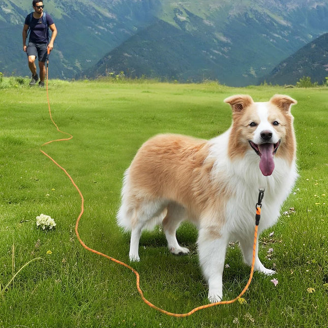 Long Leash for Dog with Removable Padded Handle, Heavy Duty Lead Large Medium Dogs,15FT/30FT/50FT/65FT Reflective Training Play, Camping, Backyard Tie Out, Orange, 30FT Orange.