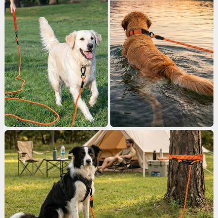 Long Leash for Dog with Removable Padded Handle, Heavy Duty Lead Large Medium Dogs,15FT/30FT/50FT/65FT Reflective Training Play, Camping, Backyard Tie Out, Orange, 30FT Orange.